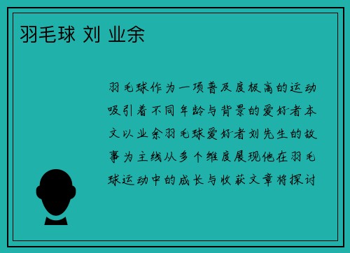 羽毛球 刘 业余